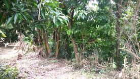 Land for sale in Manggahan, Batangas