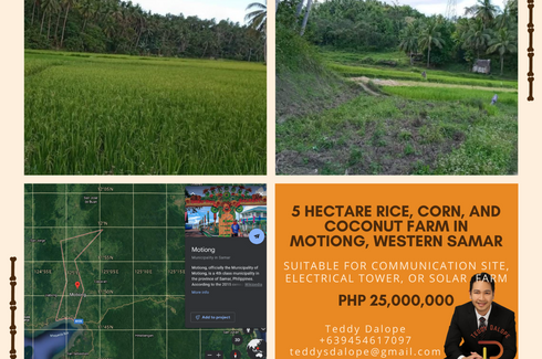 Land for sale in Bonga, Samar