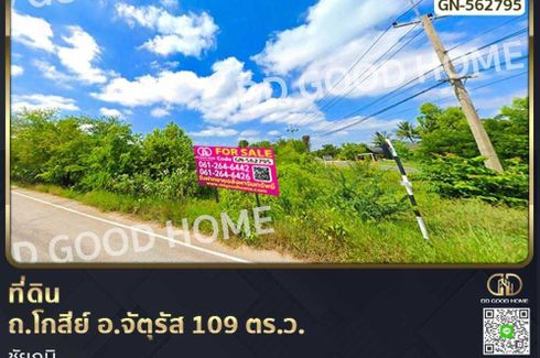 Land for sale in Kut Nam Sai, Chaiyaphum
