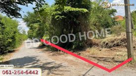 Land for sale in Wang Chula, Phra Nakhon Si Ayutthaya