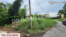 Land for sale in Wang Chula, Phra Nakhon Si Ayutthaya