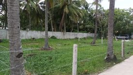 Land for sale in Looc, Negros Oriental