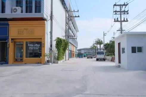 โอเอซิส บริส ทาวน์