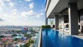 ดิ เอดิเตอร์ สะพานควาย
