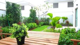 Life in the Garden