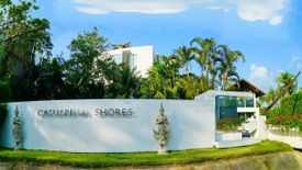 Casuarina Shores