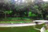 Forest Farms, The Grove