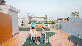 Brompton Pet Friendly Sukhumvit 107