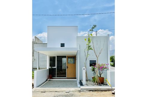 Pannakota Colony