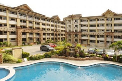 Bali Oasis Phase