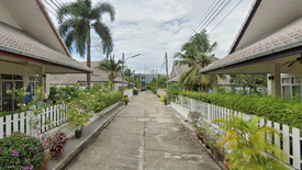 โคโคนัท โกรฟ