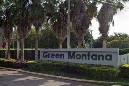 Green Montana