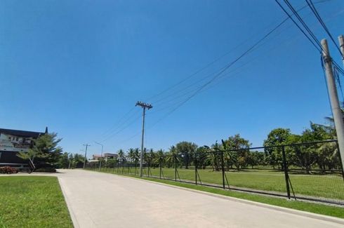 Altafina