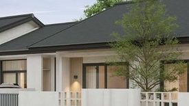 The Asset Curve Phuket