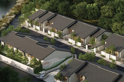 The Asset Curve Phuket