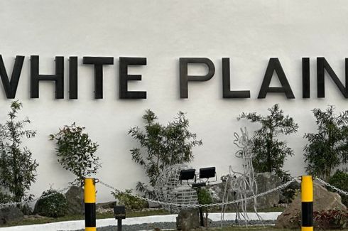 White Plains Village