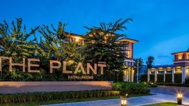 The Plant Kathu-Patong