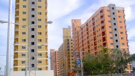 City Home Srinakarin