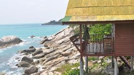 The Ocean Phangan Homestay