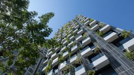 Siamese Exclusive Sukhumvit 31