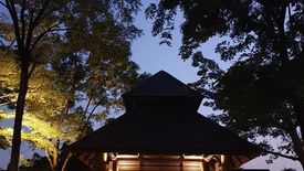 Prime Nature Villa